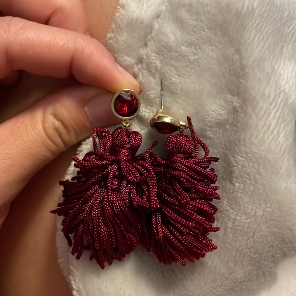 Earrings